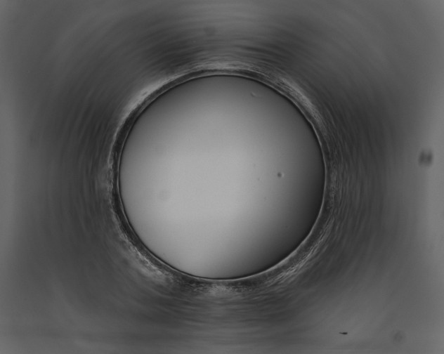 X0000090970787200708241314