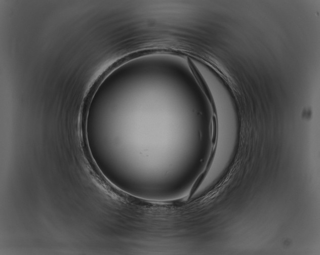 X0000090970788200708241314