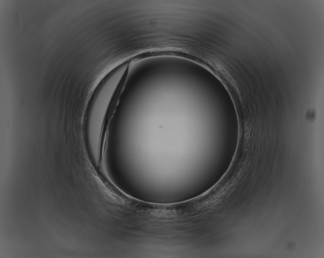 X0000090970789200708241314