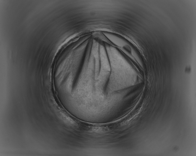 X0000090970790200708241314