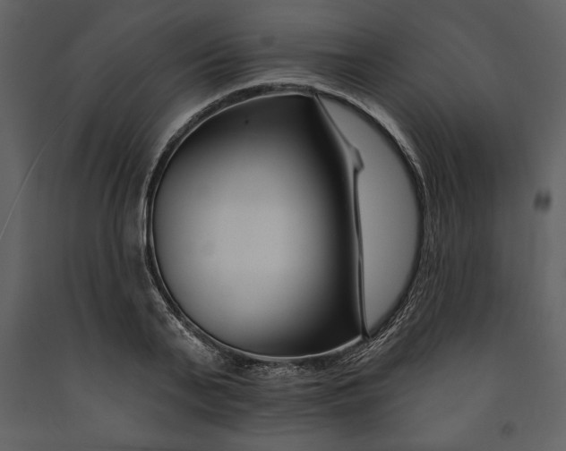 X0000090970791200708241314