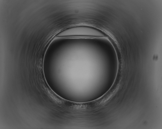 X0000090970793200708241314