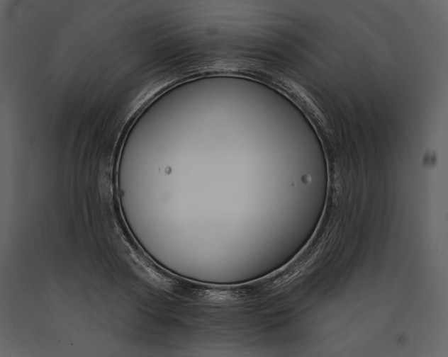 X0000090970794200708241314