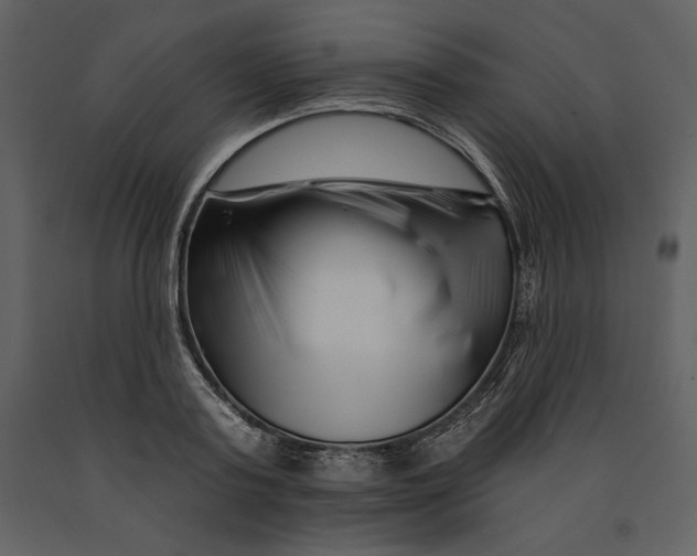 X0000090970795200708241314