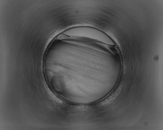 X0000090970797200708241314