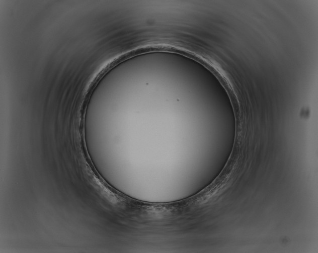 X0000090970799200708241314