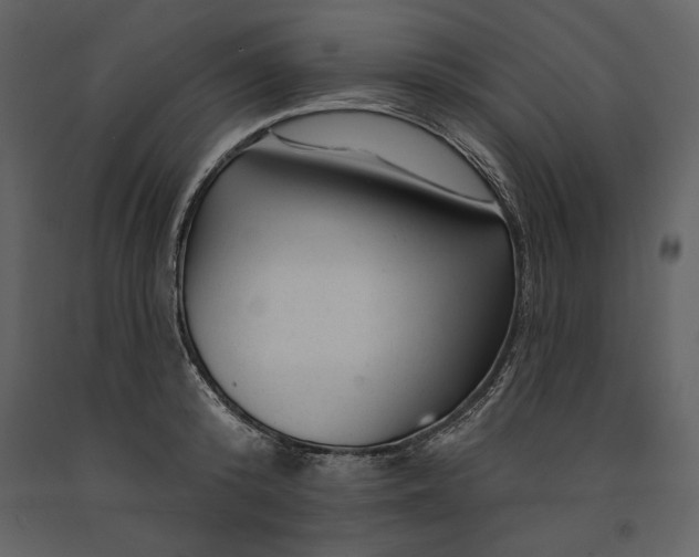 X0000090970800200708241314