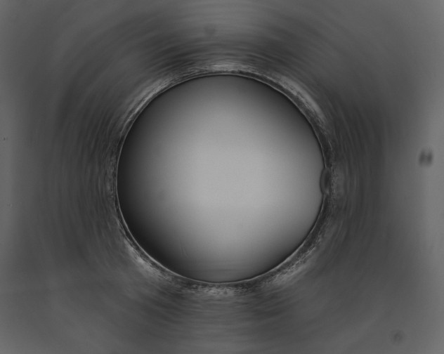 X0000090970801200708241314