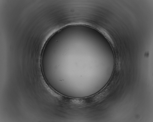 X0000090970805200708241314