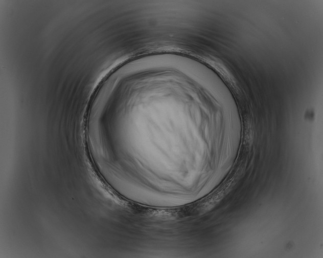 X0000090970806200708241314