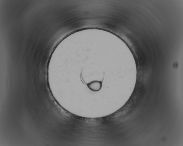 X0000090970807200708241314