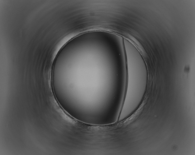 X0000090970812200708241314