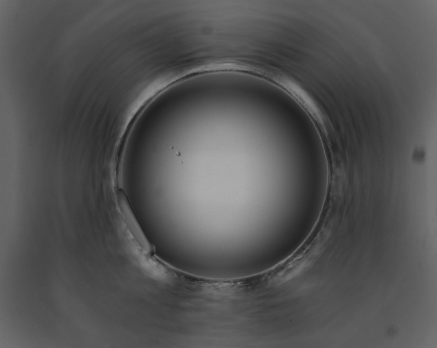 X0000090970813200708241314