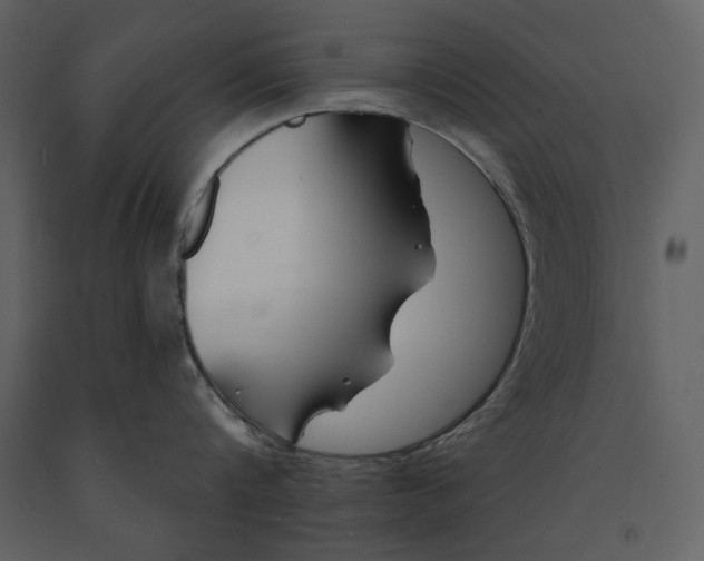 X0000090970816200708241314