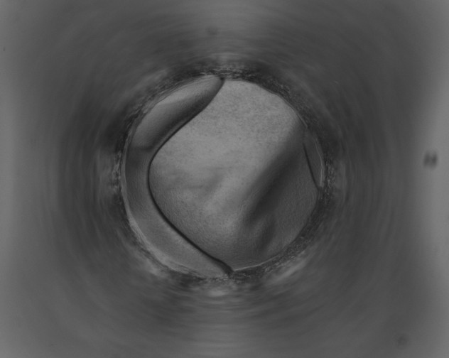 X0000090970818200708241313