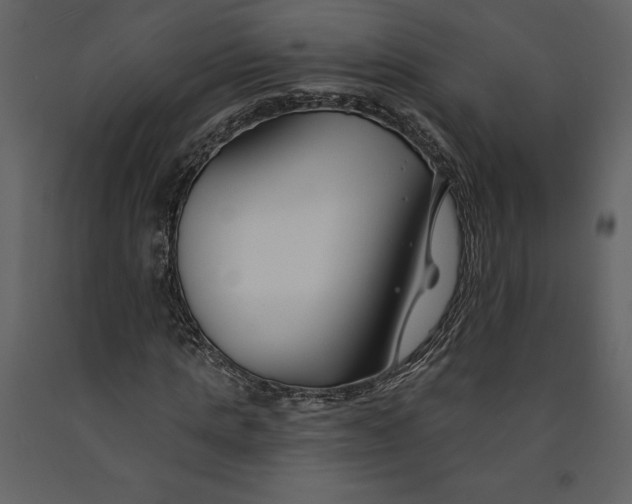 X0000090970821200708241313