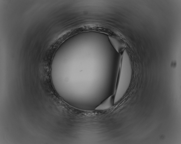 X0000090970822200708241313