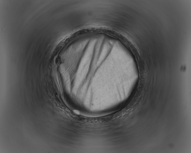 X0000090970823200708241313