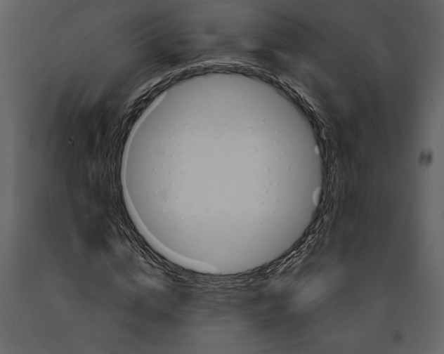 X0000090970824200708241313