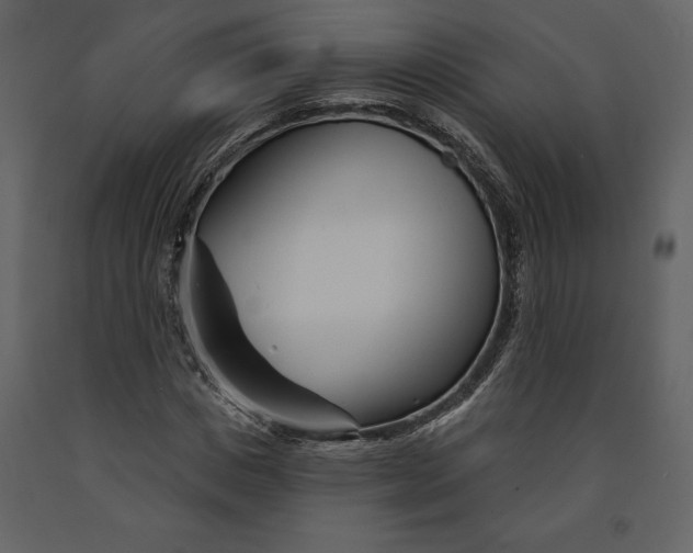 X0000090970825200708241313