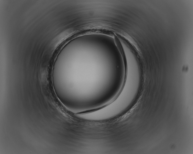 X0000090970826200708241313