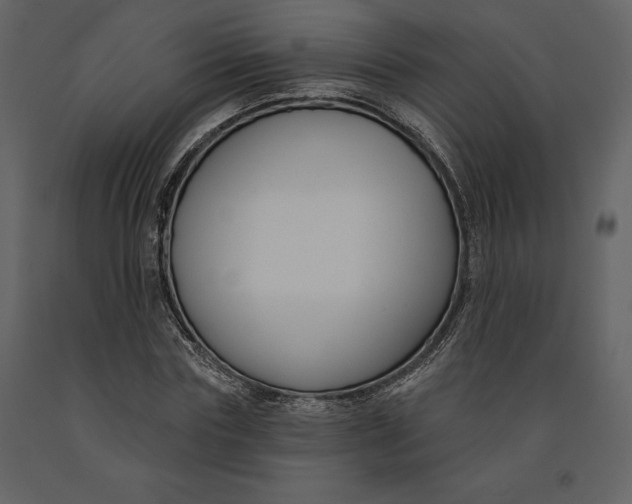 X0000090970827200708241313