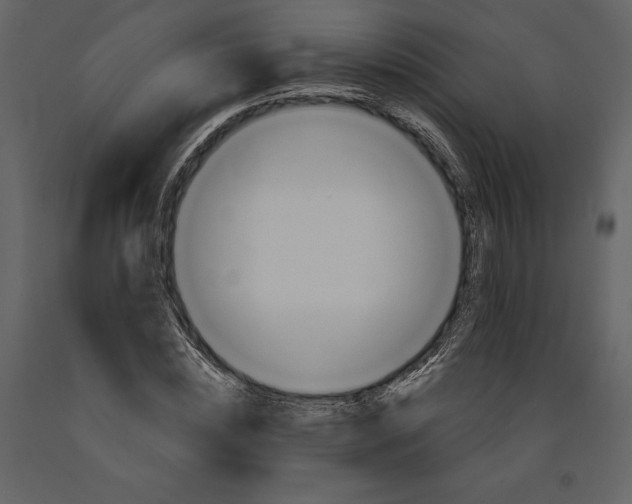 X0000090970828200708241313