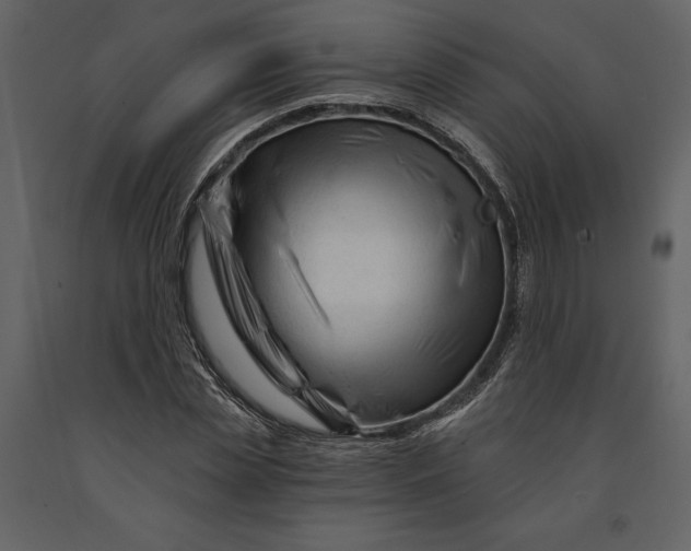 X0000090970829200708241313