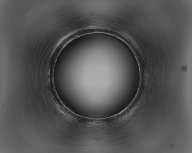 X0000090970830200708241313