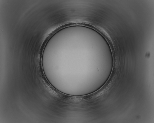 X0000090970831200708241313