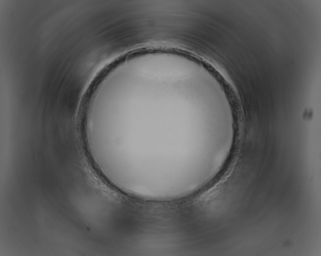 X0000090970832200708241313