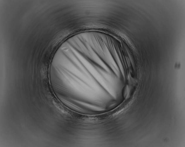 X0000090970833200708241313