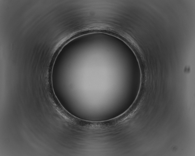 X0000090970834200708241313