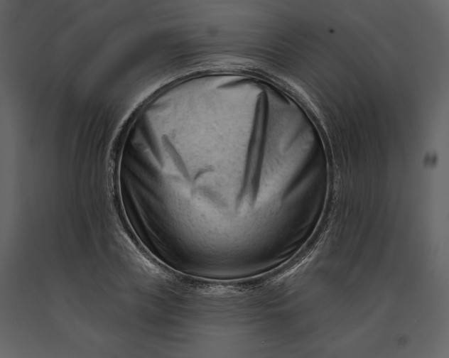 X0000090970835200708241313