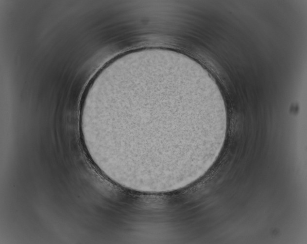 X0000090970836200708241313