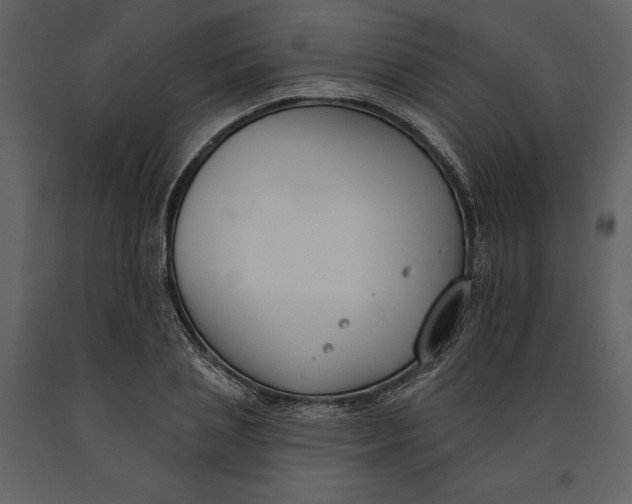 X0000090970837200708241313