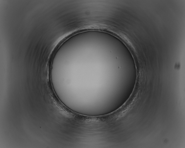 X0000090970838200708241313