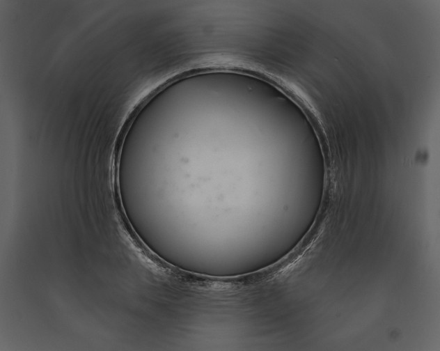 X0000090970839200708241313