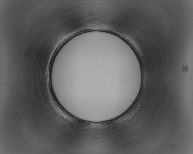 X0000090970840200708241313