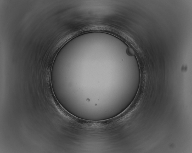 X0000090970841200708241313