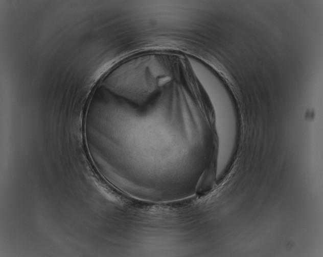 X0000090970842200708241314