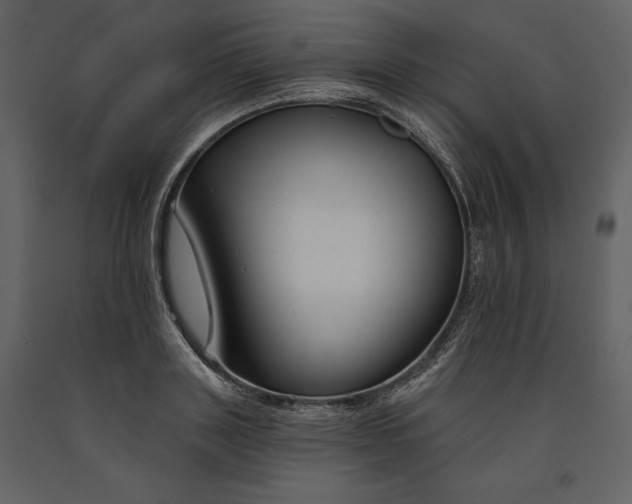 X0000090970843200708241314