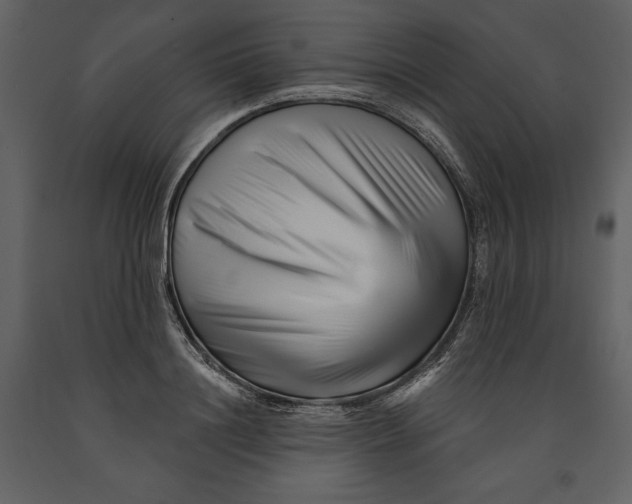 X0000090970844200708241314