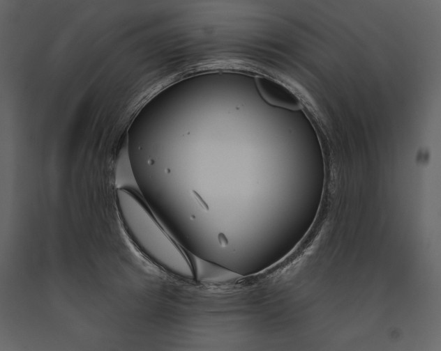 X0000090970849200708241314