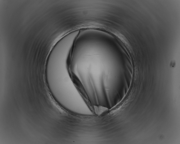 X0000090970850200708241314