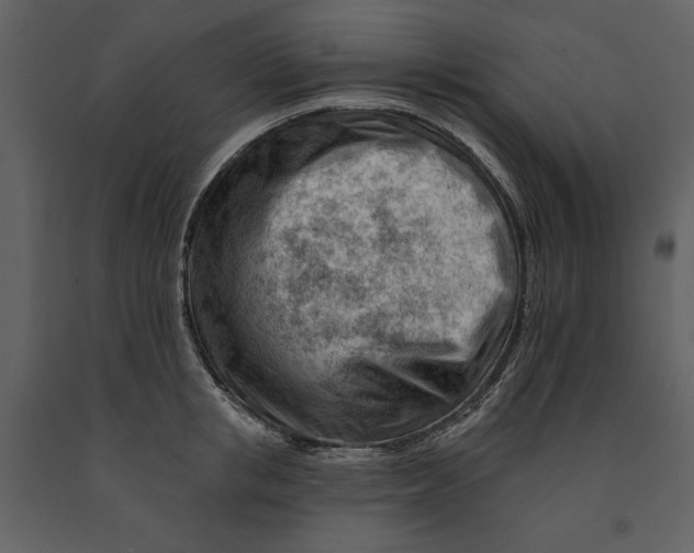 X0000090970853200708241314