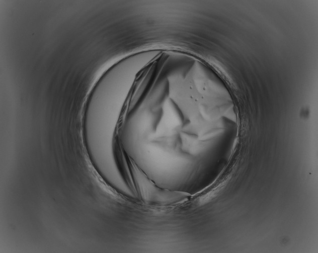 X0000090970854200708241314