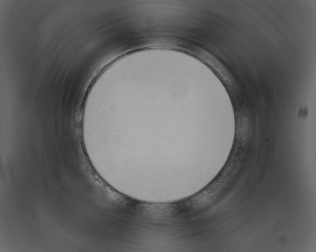 X0000090970856200708241314