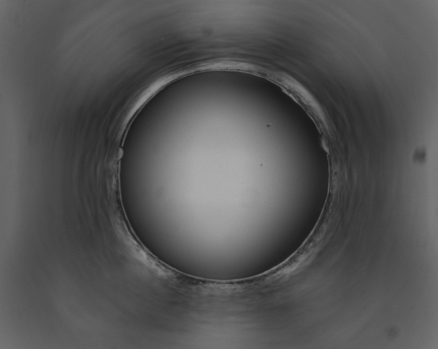 X0000090970860200708241314