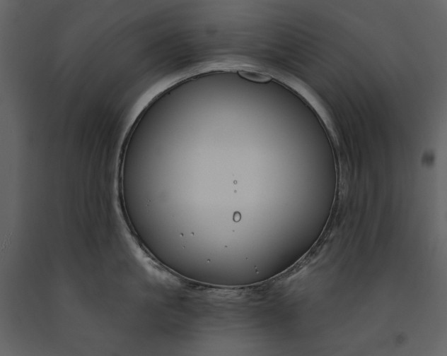 X0000090970861200708241314